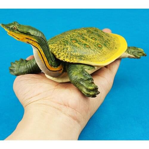 Simulation Turtle Static Plastic Toy Tortoise Model PVC Cognition Model Toy Gift