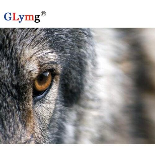 GLymg Full Square Diamond Painting Cross Stitch Wolf Eye Full Drill Animal Series Diamond Embroidery Rhinestones Mosaic Decor