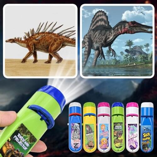 3 Slides Projection Flashlight Pattern View Images Early Education Puzzle Toys Projector Lamp Sleeping Stories Lamp Fairy Lamp
