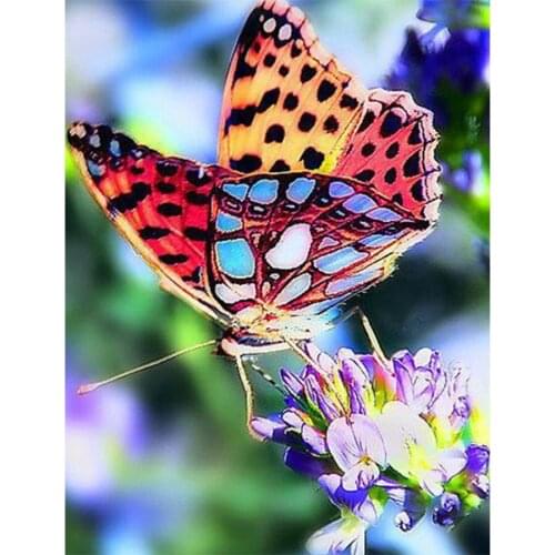Full Square Drill 5D DIY Diamond Painting Butterfly Flower 3D Diamond Embroidery Cross Stitch Rhinestone Mosaic Home Decor TY968
