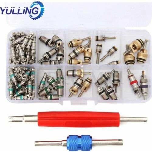 102 Pcs/Set Auto Car R12 &R134a A/C Air Conditioners Valve Core Remover Tool Kit