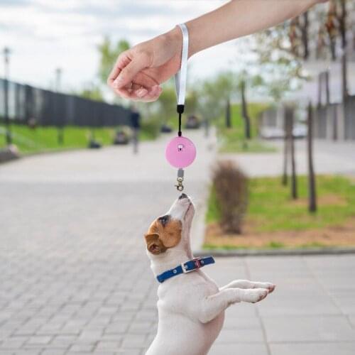 Mini Automatic Retractable Walking Dog Rope Pet Supplies Traction Rope Mini Dog Walking Leash