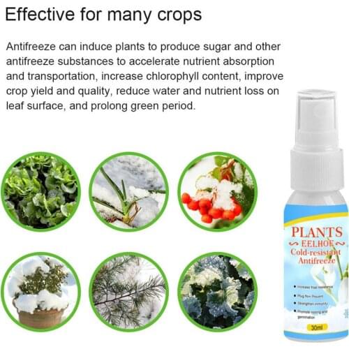 30 ML Plant Spray Protective Antifreeze Agent For Winter plant Protection Covers