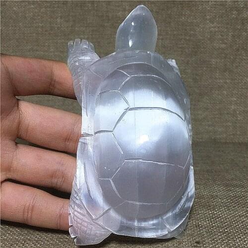 Natural Selenite Quartz Crystal Turtle Gift Home Decor White Gypsum Mineral Craft Collection Feng Shui Healing Stone Tortoise