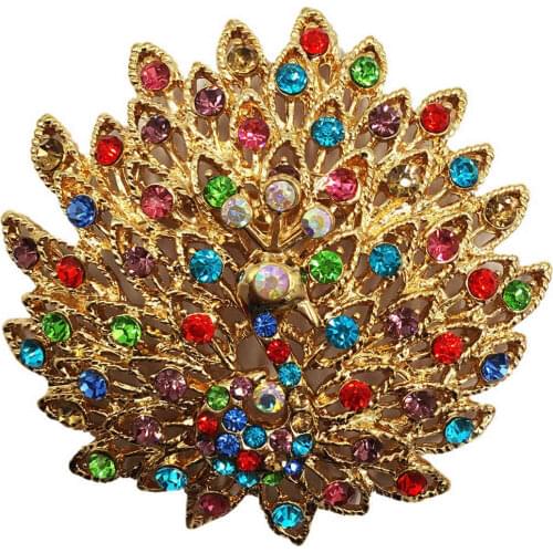 Fashion Brooches Colorful Phoenix Brooch Accessories BA026