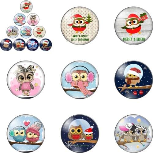 Cute Animals Owl Christmas Gift Round Photo Glass Cabochon Demo Flat Back Making Findings Handmade DIY Accessories