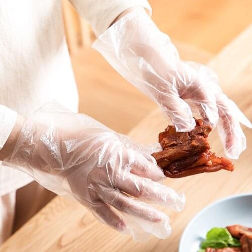 500 PCS Plastic Clear Disposable Gloves Food Cleaning Catering Beauty For Home Kitchen Tools