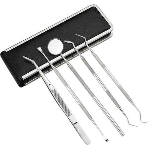6PCS Stainless Steel Dental Tools Kit Teeth Tartar Scraper Mouth Mirror Dentists Pick Tool Teeth Scaler Probe With Storage Cases