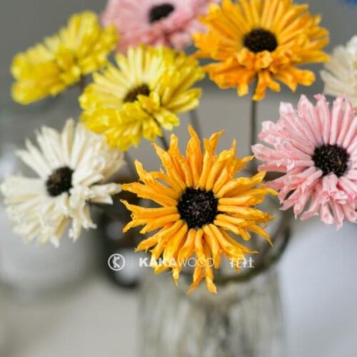 Northern European-Style Colorful Dried Flower Handmade Fruit Shell Flower Dried Flower Arrangement with Photography Home