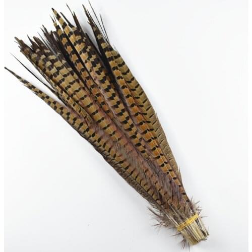 Wholesale 10-75CM 4-30" Natural Ringneck Pheasant Tail Feathers for Crafts Wedding Decorations Pheasant Feathers Carnival Plumas