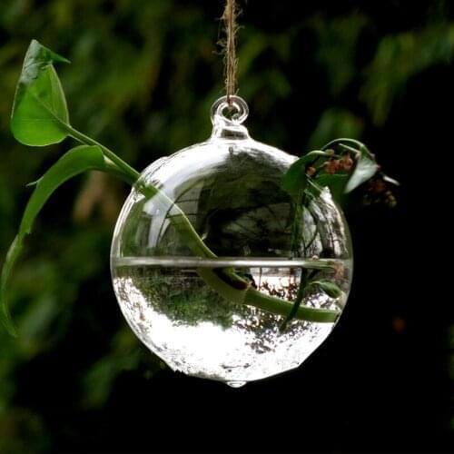 12pcs/pack Diameter=10cm Middle Size 2-hole Glass Terrarium Vase Home Decorative Creative Hanging Glass Ball Plant Container