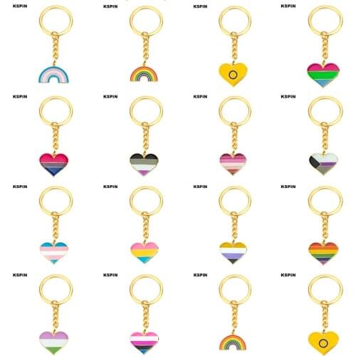 Asexual Rainbow Bisexual pride Transgender pride Demisexual Pride Key Ring Lapel Pin Brooches Pins Flag badge Brooch Badges