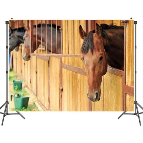 Beautiful Horses In The Racecourse Stable Backdrop Kids Animal Party Photo Background Portrait Shooting Studio Prop Wall Decors
