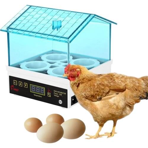 Mini Semi Automatic Duck Goose Incubator Experiment LED Light Poultry Chicken Bird Hatcher Tool Digital Temperature Brooder