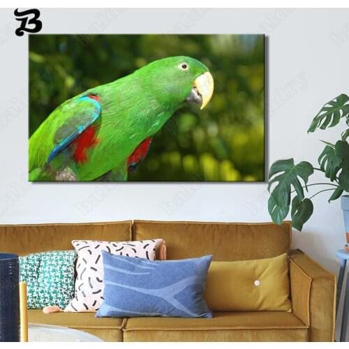 Canvas Painting Birds Modern Animal Colorful Parrots On The Wall Canvas Posters and Prints Wall Art Pictures for Home Wall Decor