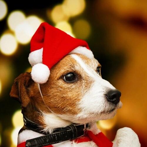Xmas Dog Caps Pet Santa Hat Supplies Christmas Costume for Puppy Kitten Small Cats Dogs Pets Christmas Clothes Accessories