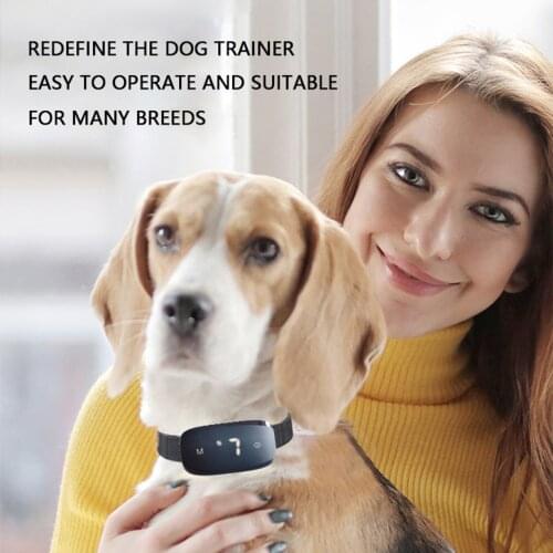 Collars TINGHAO China