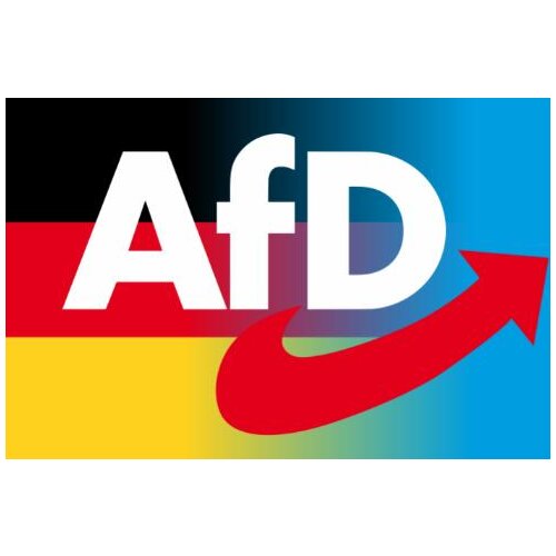 Alternative afd flag FLAG 90x150cm 100D polyester With Half Germany Half Blue custom flag banner