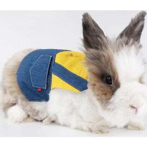 Lovely Small Animal Walking Clothes Outdoor Vest Pet Supplies Guinea-Pig with Traction Harness Mini Hat Bag