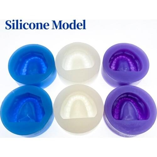 2pcs/set purple silicone Dental Plaster Model Mold Mould of Edentulous Jaw Complete Cavity Block