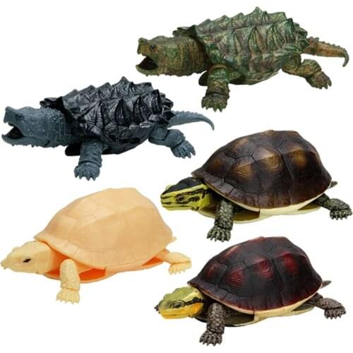 Bandai Capsule Toy Tortoise Simulation Creature Series 04 Fourth Bomb Closed Shell Turtle Snake Turtle Model