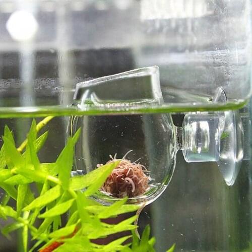 Home Aquarium Fish Tank Glass Feeding Cup Fish Feeder Brine Shrimp Eggs Red Worms Food for Aquarium