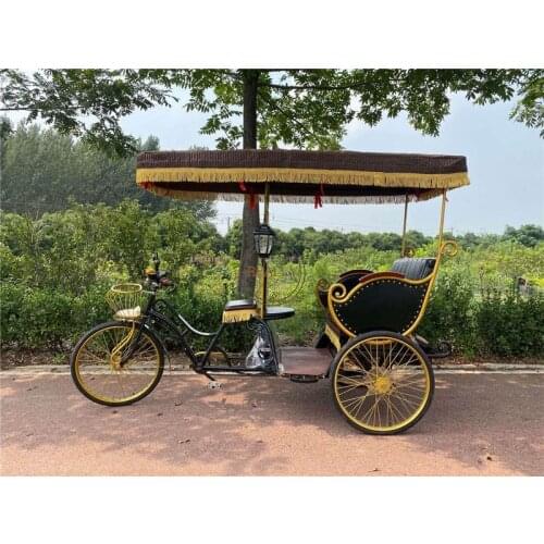 Electric Adult Tricycle Auto Battery Bicycle Rickshaw Passengers Taxi Bike Pedal Sightseeing Pedicab For Sale