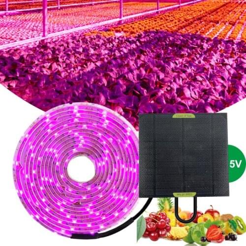 2A 5V Waterproof 2835 Lamp Bead Solar Plant Growth Lamp Full Spectrum Plant Lamp Silicon Solar Panel Vegetable Flower Growth