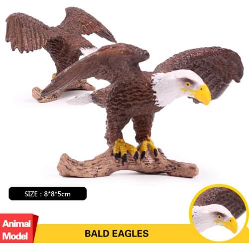 Oenux Original Wild Bird Animals Bald Eagle Figurines Action Figures Fierce Lifelike Miniature Collection Toy For Kids Gift
