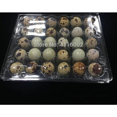 500pcs/lot 30 Holes Quail Egg Containers, Plastic Quail Egg Boxes Retail Protective Packing Box