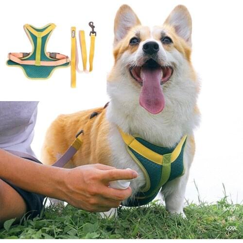 Pet Breast StrapsDog LeashesDog LeashesDog ChainsDog Breast Straps CollarsPet Supplies Pet Collar Harness Fashion Seat Belt