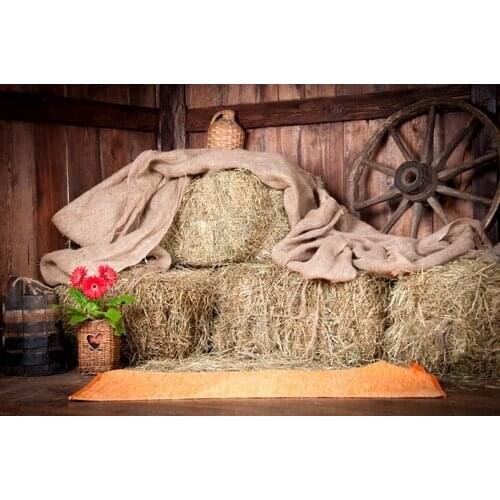 5x7ft art photography backdrop indoor background for studio farm rick photo background