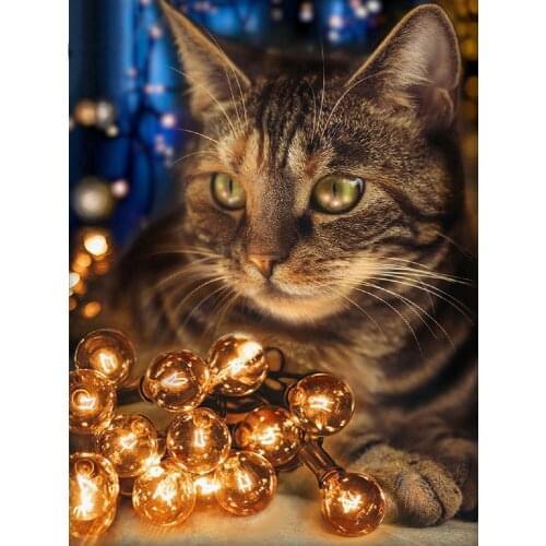 5d animal Diamond Painting cute kitten Cross Stitch diy Diamond Embroidery cat picture home decor full rhinestones Mosaic gift