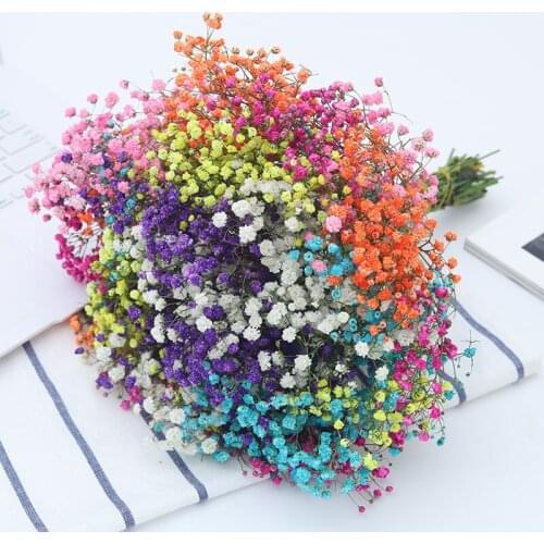 120g Multi-color Mix and Match Gypsophila Long-Preserved Flower Bouquet Gift Babys Bouquet Babysbreath Wedding Accessories