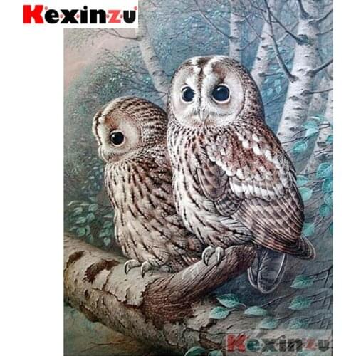 Kexinzu Full Square/Round Drill 5D DIY Diamond Painting "owl" Diamond Embroidery Cross Stitch 3D Decor Gift K@#5566