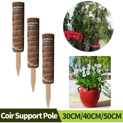 30/40/50CM Agriculture Tools Plant Holder Coir Support Pole Coconut Palm Stick Extension For Indoors Garden Green Climbing Frame