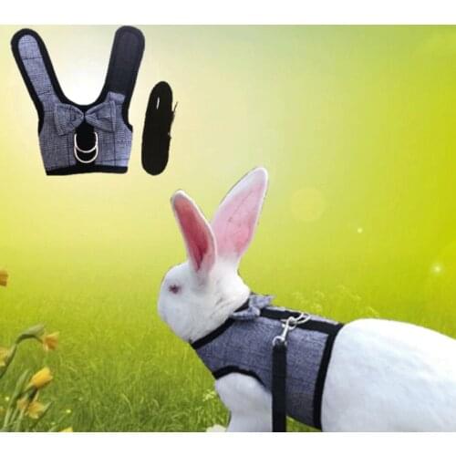 Rabbit rope walking rabbit special vest type chest strap rabbit rope dog rope cat rope suit cloth rabbit chest strap