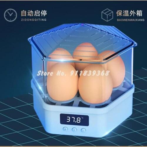 Incubator Small Household Automatic Childrens Mini Incubator Chicken Quail Incubator Send Fertilized Eggs