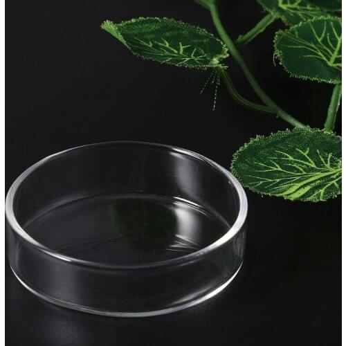 Clear Glass Shrimp Food Round Dishes Small Fish Feeding Bowl Ornamental Supplies alimentaire pour Aquarium
