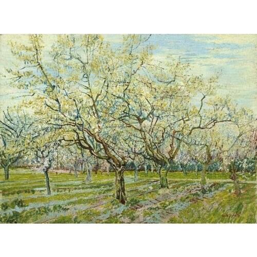 Modern decor art Canvas prints classical impression art painting a park full of white Cherry tree full of flowers of van Gogh