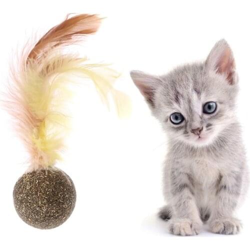 Nature Kitten Cat Feature Toy Teeth Cleaning Cat Catnip Ball Pet Accessories