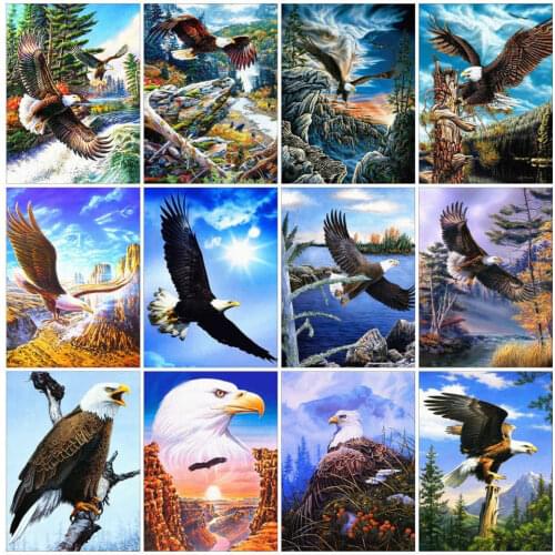 AZQSD Paint By Numbers For Adults Eagle Oil Painting By Numbers Animal Hand Paint Kit Canvas Modern Living Room Decoration Gift