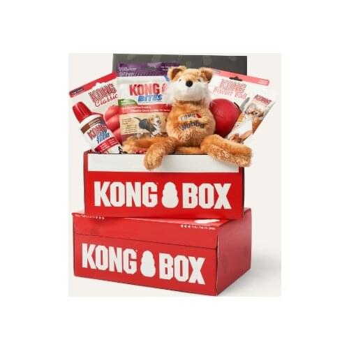 KONG BOX For Puppy -Fit (2-9kg)