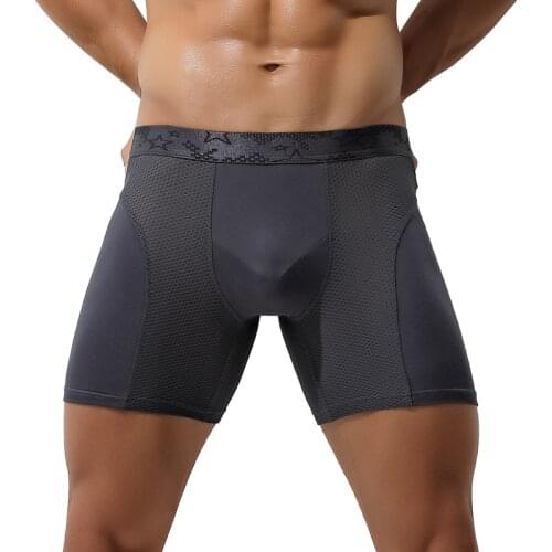 Sexy Mens Boxers Underwear Cueca Modal Mesh Panties Man Breathable Pouch Underpants Male Long Leg Pants Plus Size Shorts L-6XL