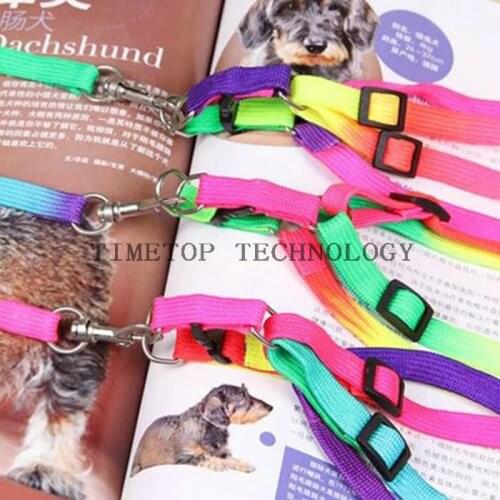 100Pcs/Lot Dog Lead Ropes Dog Collars Leads Puppy Dog Products Pet Product Training Belt Pet Running Lead Rope