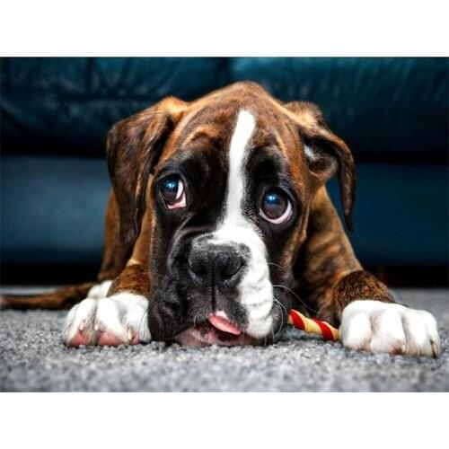 5D DIY Diamond Embroidery dog Handmade Diamond Painting Needlework Mosaic Full Cross Stitch Home Decor Gifts