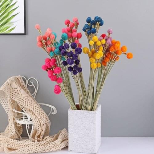 10Pcs Real Plant Preserved Artificial Flower Dried Strawberry Flower Wedding Marriage Home Living Room Decoration Accessories
