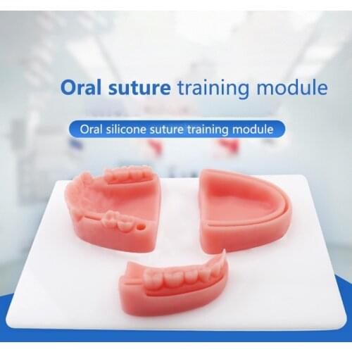 1pcs Dental Oralsuture training module Medical silicone periodontitis suture model