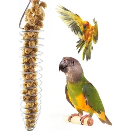 1 Pc Parrot Bird Food Fruit Basket Toys Stainless Steel Feeding Device Birds Cage Feeder Tool Pet Supplies