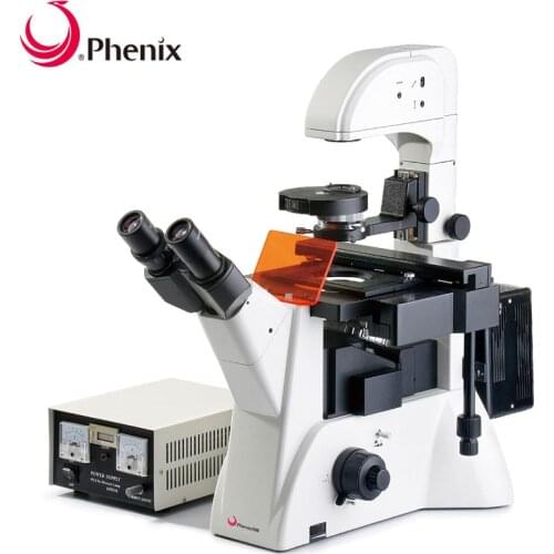 Phenix 400x Inverted Epi fluorescent binocular microscope used in medicine disease prevent by wholesale direct from china